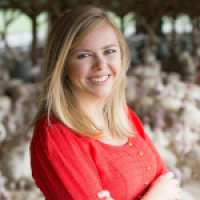 Diestel adds gravy to turkey product lineup