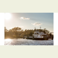 Episode 171: Atlantic Fish Co. CEO discusses company’s cultivated white fish fillets