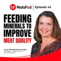 MeatsPad Podcast Episode 44: Dr. Elisabeth Huff Lonergan