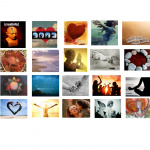 Wholehearted Pathways