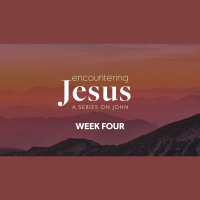 Encountering Jesus - Week 4