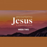 Encountering Jesus: Week Two