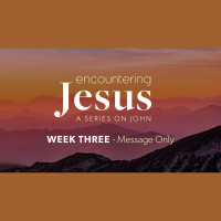 Encountering Jesus: Week Three