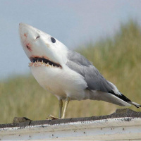 Using Ridicule and Singing to Wake the Dead from their Sleep