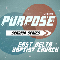 Transformation Brings Purpose