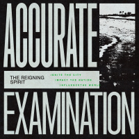 Accurate Examination - The Reigning Spirit