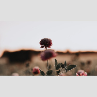 How Did God Call Me to Himself?