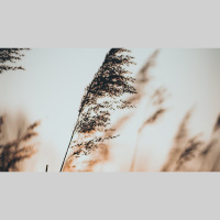 How Does Easter Change Us?