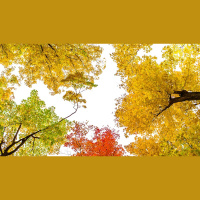 How Can We Know God?