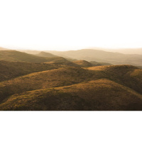 Why Did Demons Ask Jesus for Pigs?