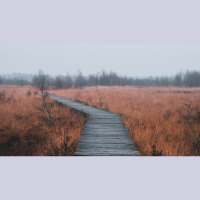 Protected from False Teaching