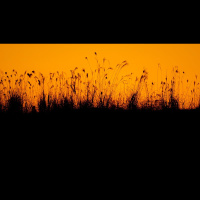 What Didn’t Christ Accomplish?