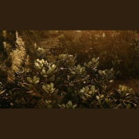 How Will Heaven Change Our Joy?