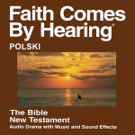 Polska Biblia (udramatyzowana) Nowe Przymierze Translation - Polish Bible (dramatized)