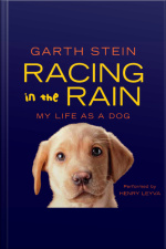 Racing in the Rain