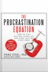 The Procrastination Equation
