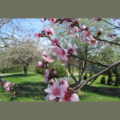 River City Church Montgomery Podcast