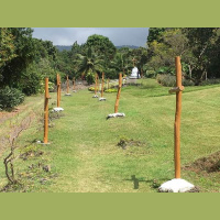 Each day begins with that first step!