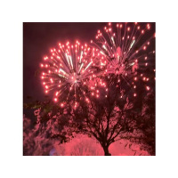 Ambition is balanced by humility.