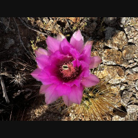 Transformation can begin when we are willing to change.