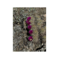 God allow us to see your light through our own tears of darkness.