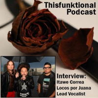 2: Thisfunktional Podcast #08 - Interview Itawe Correa lead vocalist of Locos por Juana