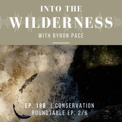 Pace Brothers - Into The Wilderness Podcast