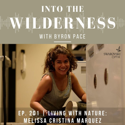 Pace Brothers - Into The Wilderness Podcast