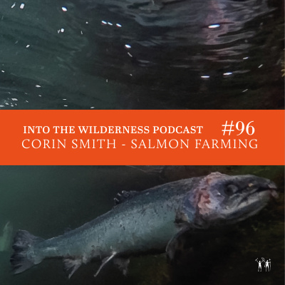 Pace Brothers - Into The Wilderness Podcast