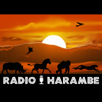 Episode 156 - Safari Mike Goes to Florida