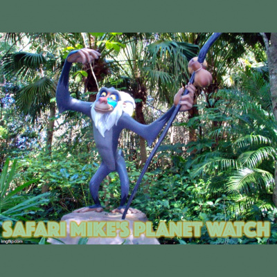 Radio Harambe