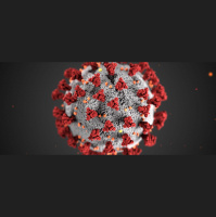 Week 9, 2020 – Mo-vid COVID, Vikings Win, Browns Didn’t Play – Skol  Bones