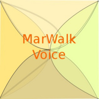 Whether to Delete or Silence Unwanted Audio