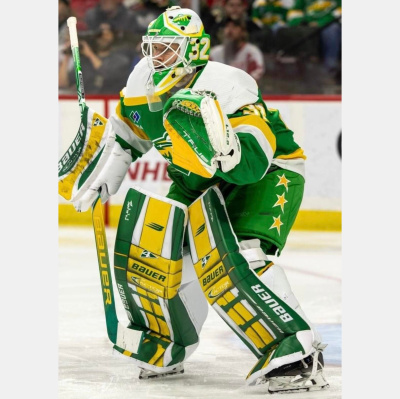 Tss:brave The Wild -minnesota Wild Podcast-