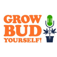 Grow Bud Yourself Episode 78