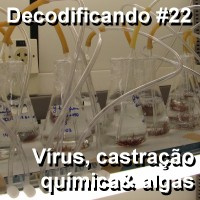Decodificando - Episodio 22 - Virus, castracao quimica e algas