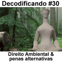 Decodificando - Episodio 30 - Tweets sobre blitz e penas em crimes ambientais