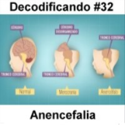 Decodificando