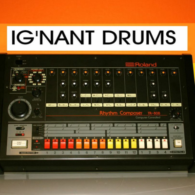 Reasonable Ignorance