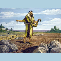 Church without Walls: The Sower 2