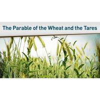 Church without Walls: A Wake up Call to the Church