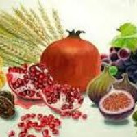 Parsha Talk Ekev 5784 2024