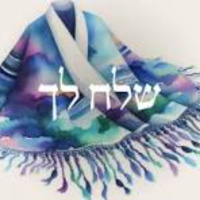 Parsha talk Shelach Lekha 5785 2025