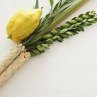 Parsha Talk Pre - Sukkot 5785 2024