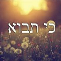 Parsha Talk KiTavo 2020