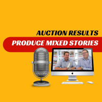 EP251 - Auction Results Produce Mixed Stories