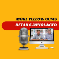 EP256 - More Yellow Gums Details Announced