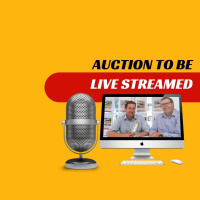 EP250 - Auction to be Live Streamed