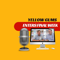 EP213 - Yellow Gums Enters Final Week