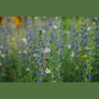 How To Use Guilt As An Opportunity